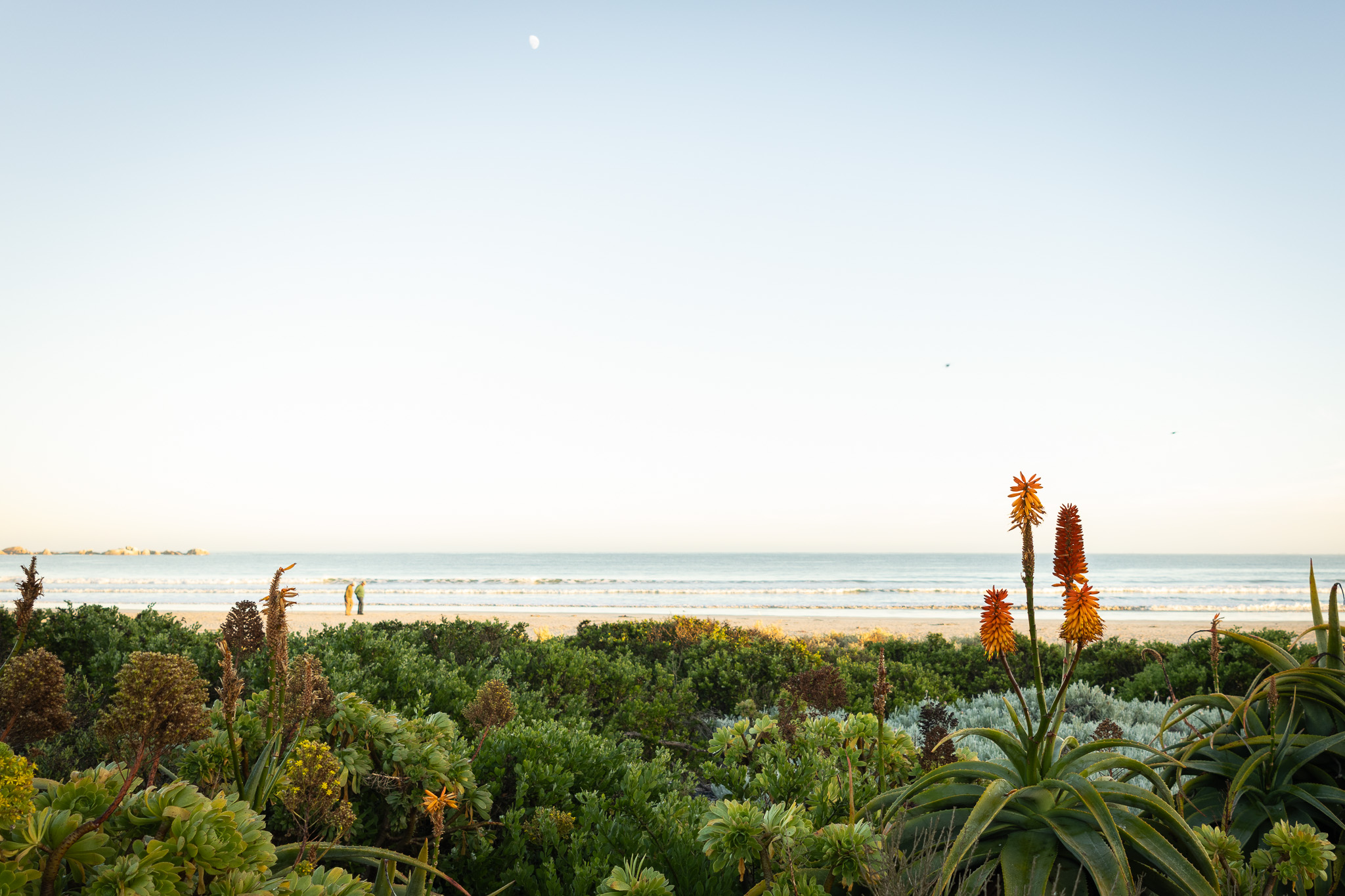 Location at Despacito Paternoster