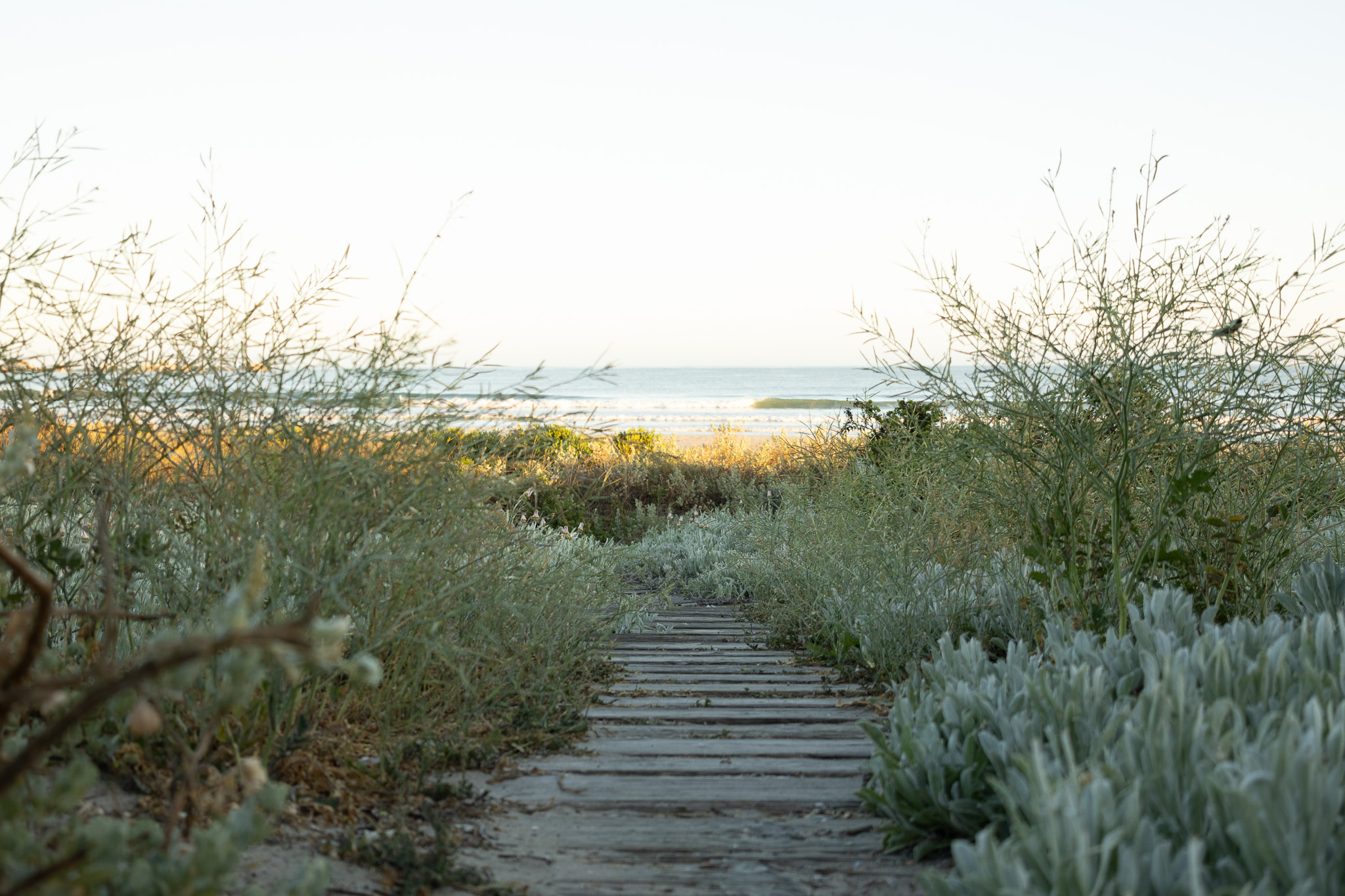 Location at Despacito Paternoster